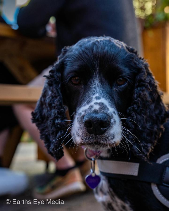 The Bear Inn Llandovery Dış mekan fotoğraf